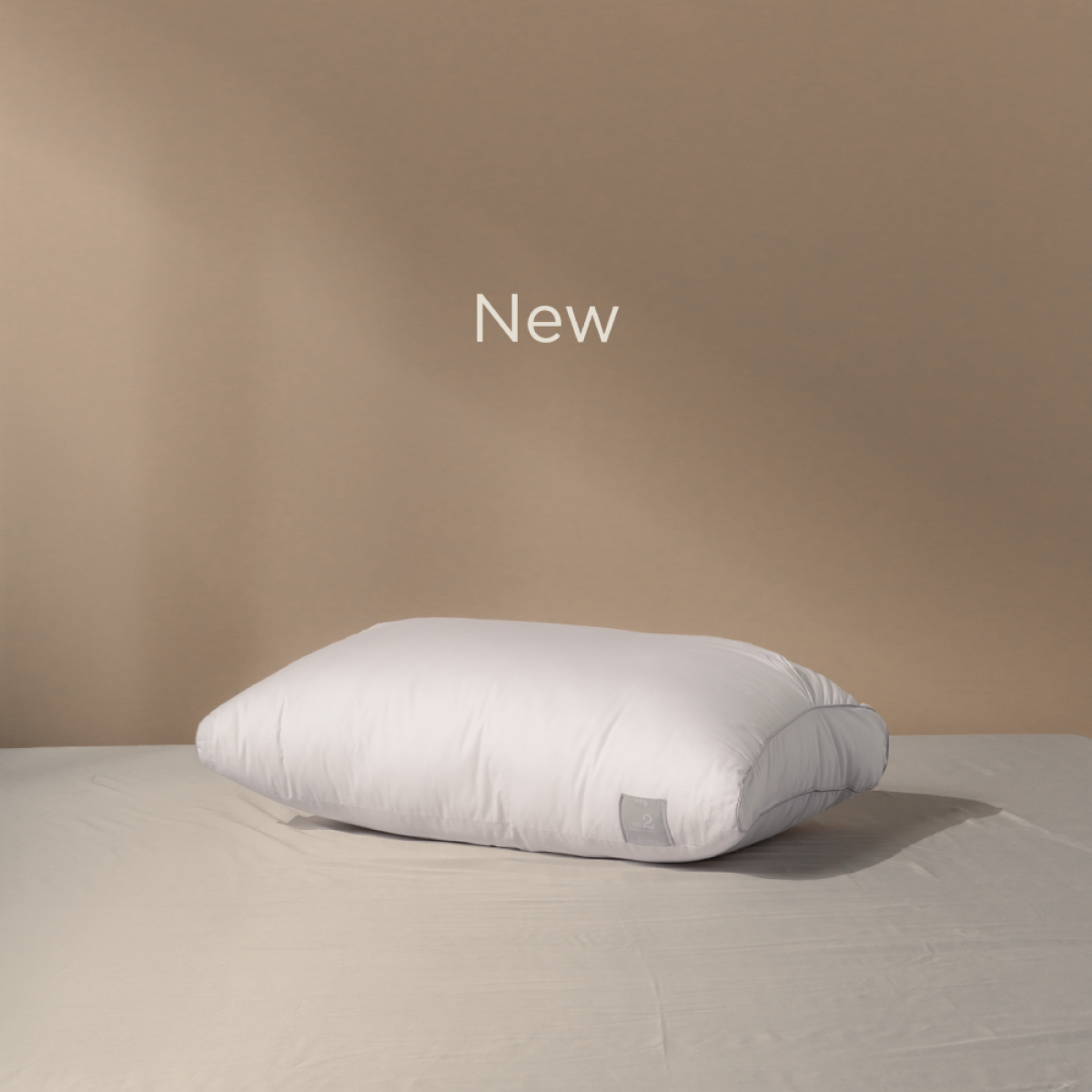 THE NEW BODY SCALE PILLOW NO 2 With Cotton Cover